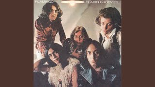 Video thumbnail of "Flamin' Groovies - Comin' After Me"