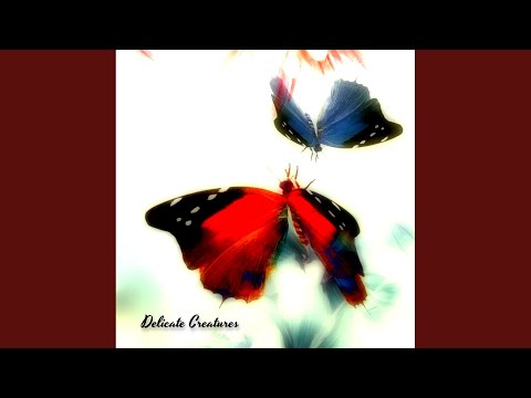 Delicate Creatures (Original Mix)
