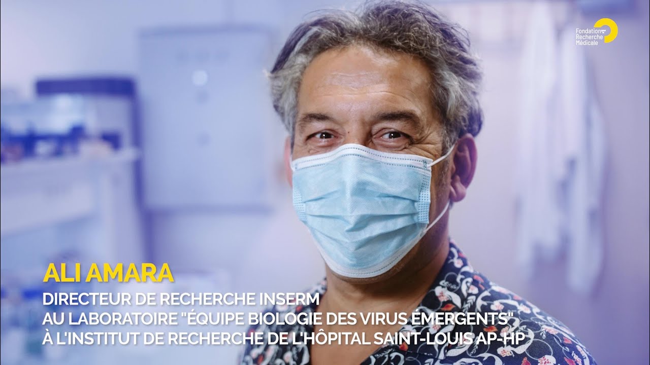 Dengue et chikungunya : des virus sans traitement