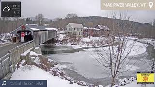Live USA Webcams | 50 STATES IN 1 HOUR | Real-time Weather Traffic Cam Protests