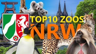Top 10: Die besten Zoos in NRW / Nordrhein-Westfalen