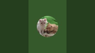 Aarzuu .K Is Live