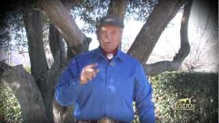 Foal Handling with the X-Small Dually Halter