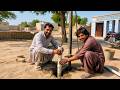 DIY Natural Clean Water Solution for Your Home ( Do Yourself )
