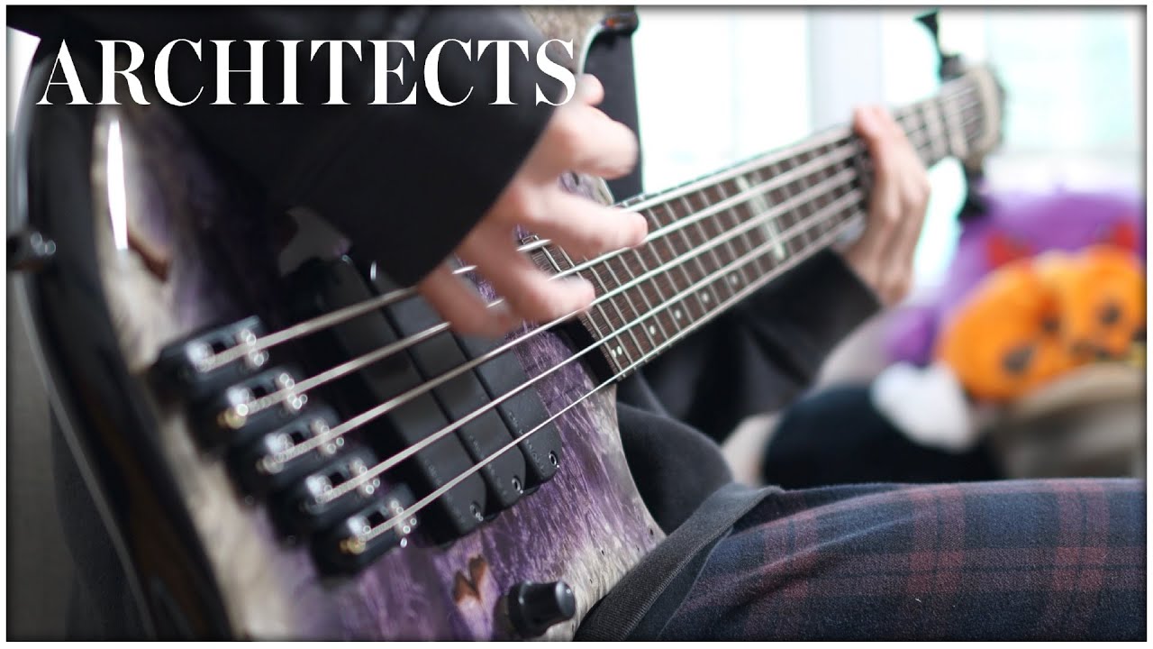 Architects Animals Bass Cover Youtube