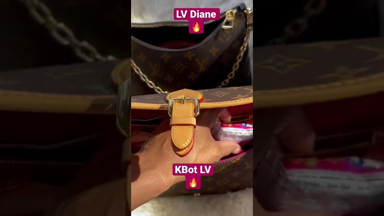 What fits louis vuitton diane bag｜TikTok Search