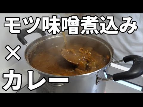 大好評だったモツ煮込みカレーを作ってみた!