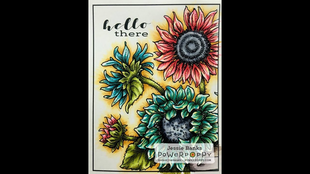 Power Poppy - Sunshine of my Life - Speed Colouring - YouTube