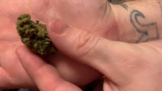 420_focused part 2 of 13 Oklahoma Product Reviews