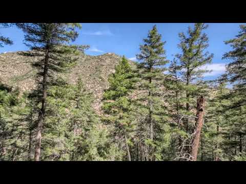 2700 Hidden Valley Road, Sedalia, CO home video tour