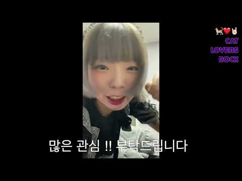 [PV] CAT LOVERS ROCK 캣러버스락 2022.07.09 _밴드 이디어츠(idiots) 홍보영상