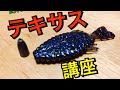 【必見】これを見ればテキサスリグで釣れるようになる？