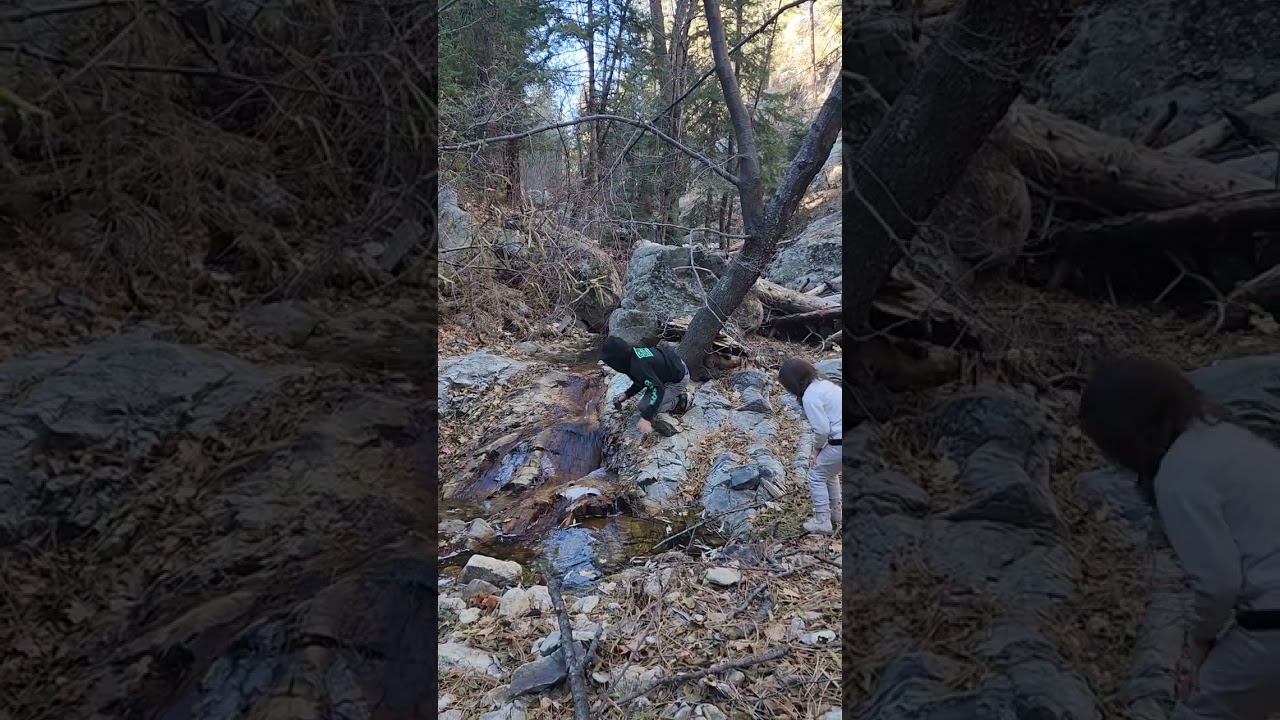 Amy Cash Real Estate-Mt Lemmon Hike-Beautiful Hikes In Tucson Arizona