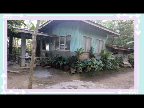 Ang bahay ng aking Ante Tesie🏡 #myvlog @MAMALALA7@SWEETGURL88ihello