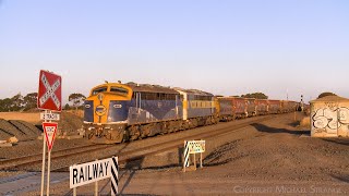 9195 SSR Broad Gauge Grain Train With Veteran EMD Bulldogs B80 & S317 (24/2/2024) - PoathTV Railways by PoathTV - Australian Trains 89 views 2 days ago 2 minutes, 1 second