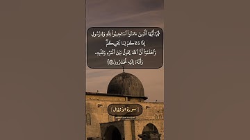 سورة الأنفال الآية ٢٤ و ٢٥ بصوت الشيخ محمد صديق المنشاوي