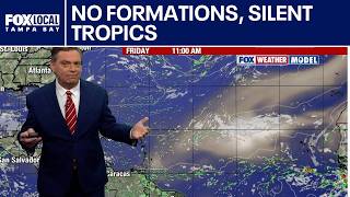 No formations silent tropics