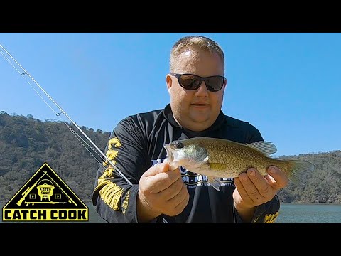 Fishing at glorious Hazelmere, 100% organic bass recipe! [catch cook] RSA