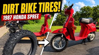 OFF-ROAD HONDA SPREE
