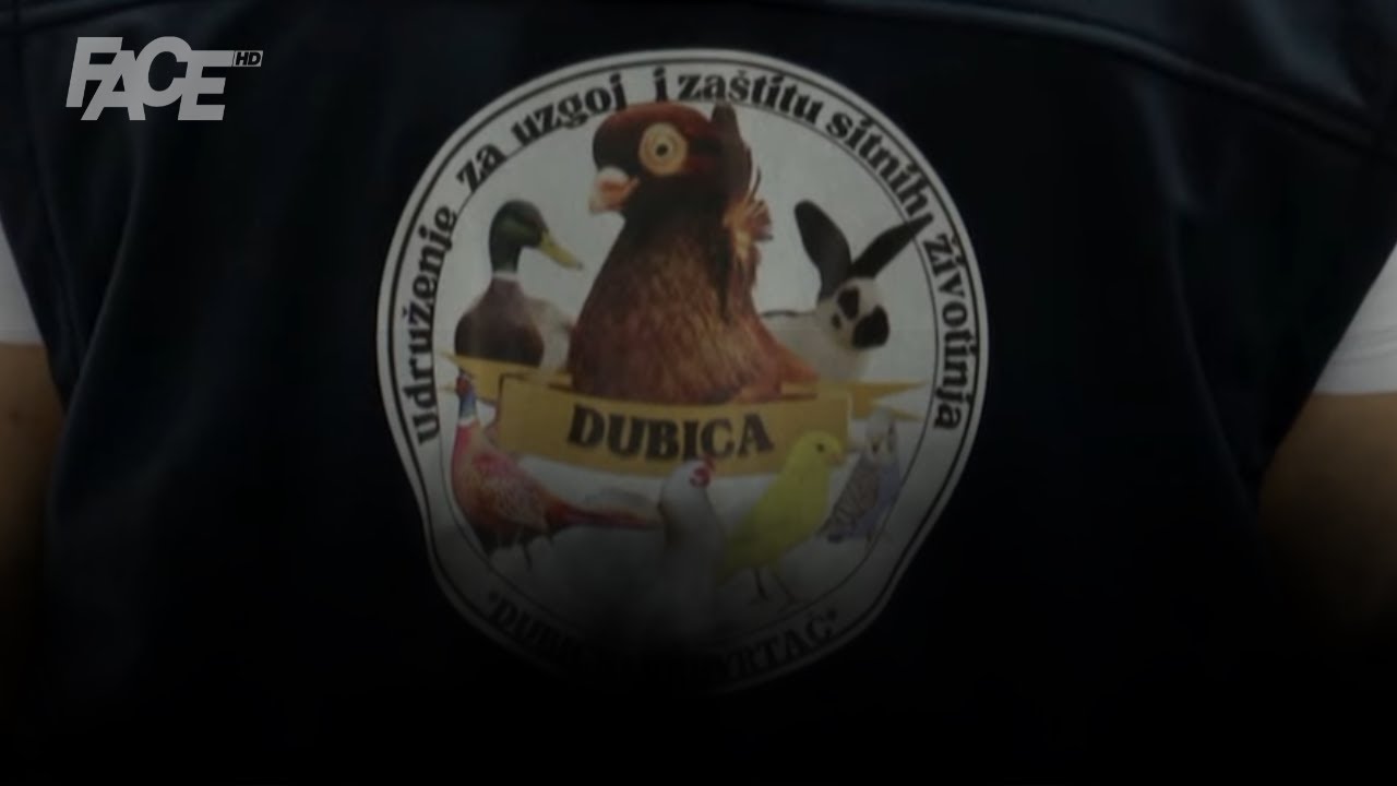 Priča koja nadahnjuje: u Bosanskoj Dubici sajam sitnih životinja – tradicija, druženje i dobrota!