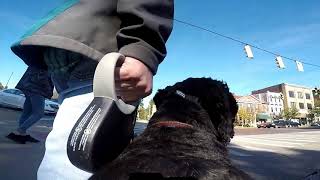 A walk in Marietta Ohio