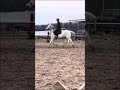 CLYDEEEE #equestrianjourney #horse #relatable #equestrian #cutehorse #horsegirl