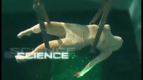 Welcome to paradox Intro