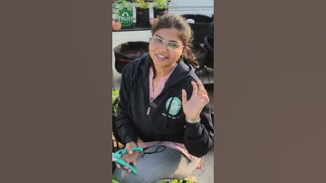 #GrowWithTrust The Hydroponic system is a method of growing plant in water without soil #trustbasket