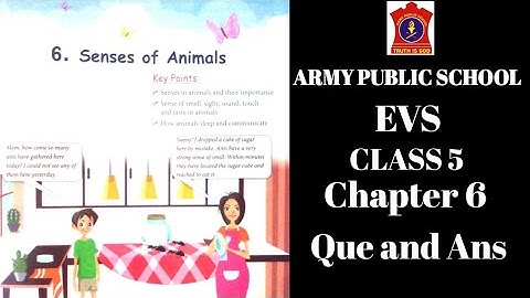 APS class 5 EVS chapter 6 | SENSES OF ANIMALS QUE. AND ANS. | class 5 EVS book | APS  @nksclasses