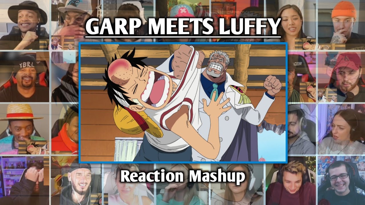 THE STRONGEST FAMILY - ONE PIECE EPISODE 314 REACTION MASHUP