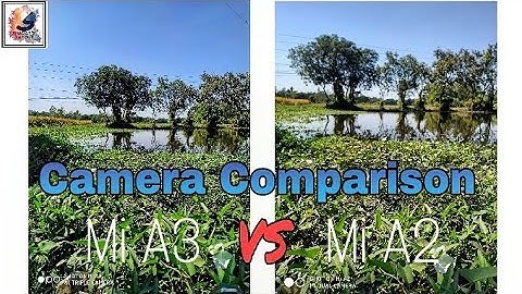 Xiaomi Mi A3 VS Xiaomi Mi A2 Detailed Camera Comparison Test | 32mp VS 20mp Selfie Camera