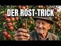 Rostiges Eisen im Boden: Genialer Ernte-Booster oder gefährlicher Mythos?