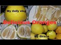 My Daily Vlog Peeling Delicious Oranges