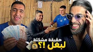 حقيقة مشكلة لبغل