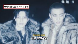 우리 여기서 탈출하자⛓️ - Stray Kids(스트레이 키즈) 