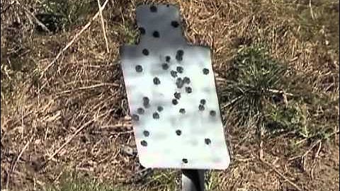 Brownells - Action Targets - PT Torso