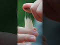 Craftsmen of China's Intangible Cultural Heritage (ICH) #diy #food #woodworking