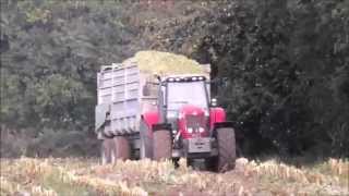 Ensilage Mais 2015 - Bretagne