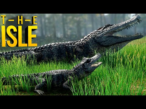 Vídeo: Como Jogar Crocodile