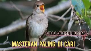 Download Lagu Suar masteran sikatan londo mp3 MP3