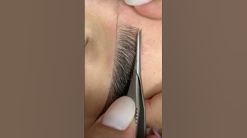 Eyebrows tutorial 🫶#shortsvideo #shorts #youtubeshorts #makeup #eyebrowtutorial