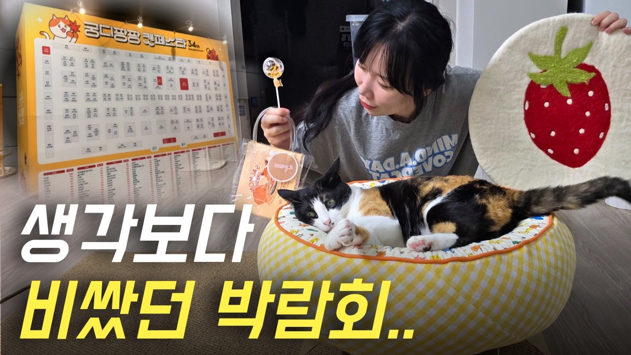 43만원 쓰고 온 2025 궁디팡팡 캣페스타 후기 및 고양이 용품 10가지 소개