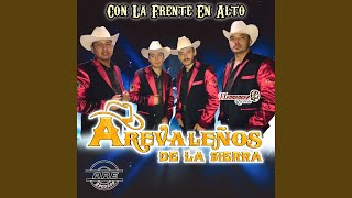Video thumbnail of "Arevaleños De La Sierra (De Tony Arevalo) - Si Ya No Te Vuelvo a Ver"