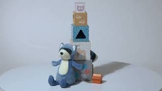 Leika Raccoon Gift Set | Mary Meyer Stuffed Toys
