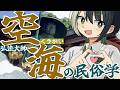 【民俗学】弘法大師はスーパーマン?!なにかと最強な空海の民俗学【VTuber/ #諸星めぐる 】