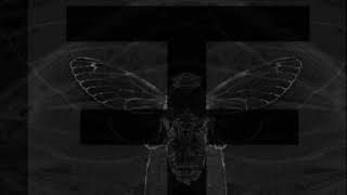 Reflections - Cicada (Vocal Cover)