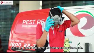 Pest React Corporate Video