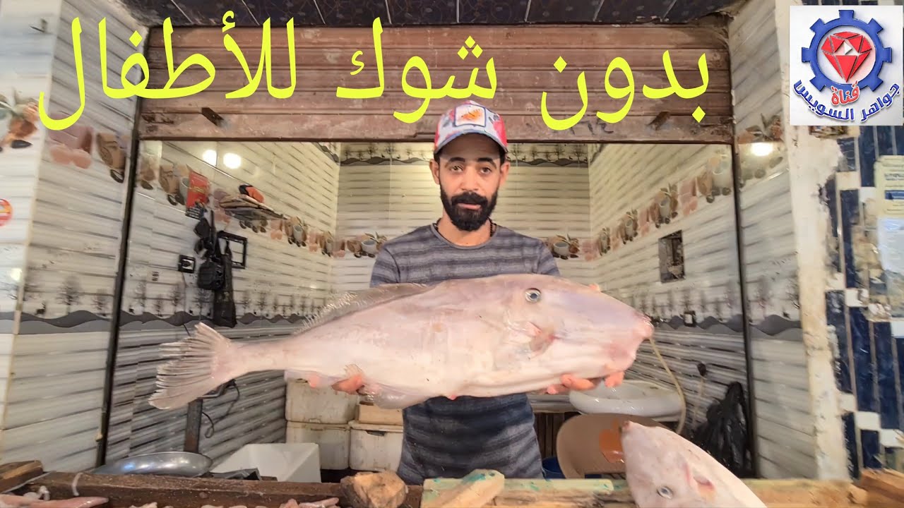 @زي ما قولت لكم الأسماك بدأت تتنوع و الجودة عالية والأسعار أفضل من الأول.وجرب سمكة بلاطه لأولادك.