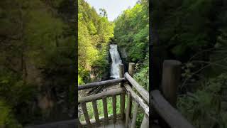 Experience Bushkill Falls - The Niagara Of Pennsylvania