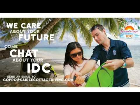 How to Change Your Career at 30? - Become A PADI Diving Instructor!